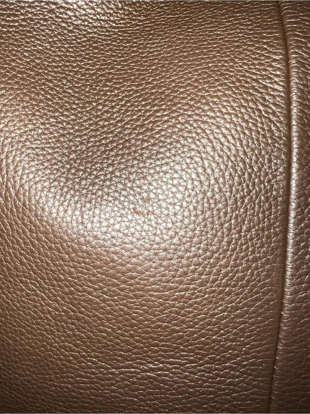 Coach Penelope Pebbled Leather Hobo Shoulder Bag | Metallic Bronze Leather | Lar